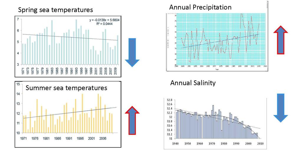 Sea temperature and salinity data from
