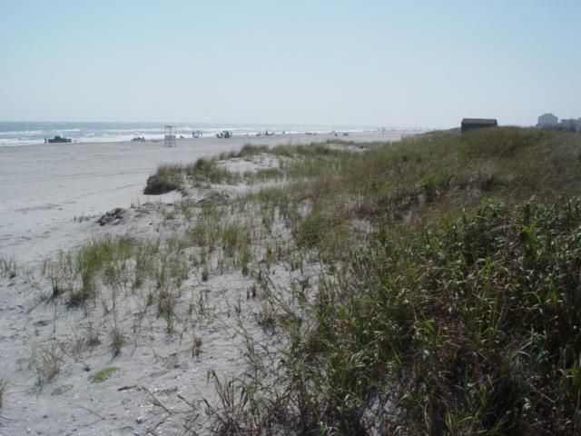 advance in the shoreline was a direct result of the construction of the Federal Brigantine Shore Protection Project.