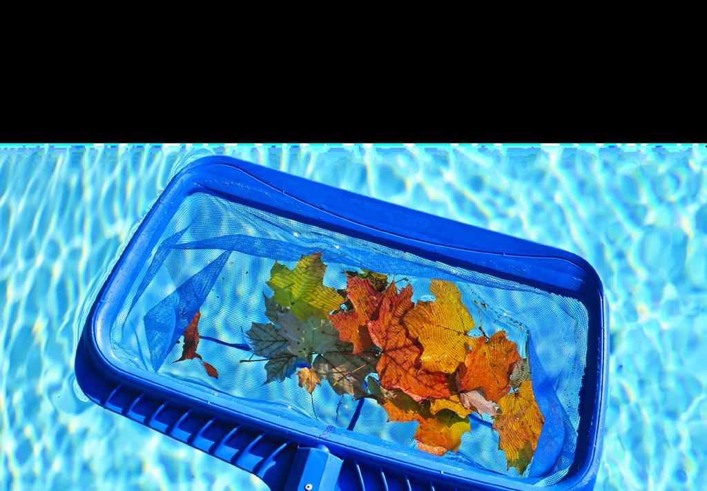 Shock Shock the water with chlorine to kill any existing bacteria and add a winterizing algaecide during cooler months to kill any existing algae and possible blooming algae.