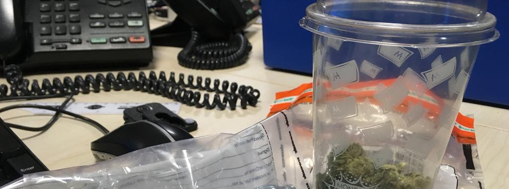Cannabis Caution issued PCSO s Sam Edmunds and Amie Hextall seized a quantity of cannabis and