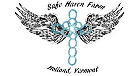 Safe Haven Farm 4083 Gore Road Holland Vermont 05829. 802-673-8157. safehavenfarm8157@gmail.com Responsible Horse Ownership Form Thank you for inquiring about adopting a horse!