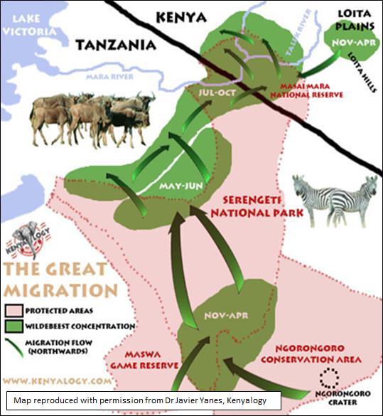 A key issue that is faced by the animals of the Greater Mara Ecosystem (GME) is that the area of land required for the total animal population of the GME to live in under normal conditions is greater