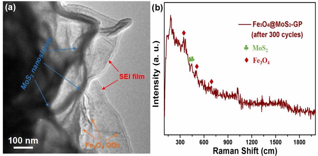 Figure S10 TEM image (a) and Raman spectra (b) of