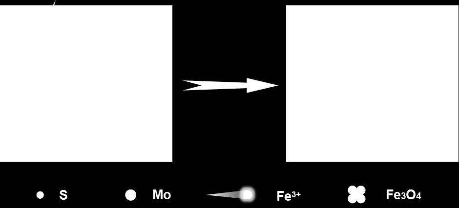 mechanism of Fe
