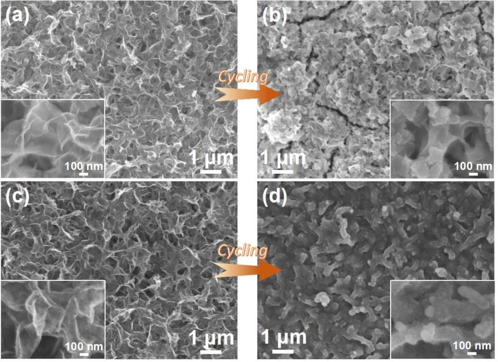 Figure S8 SEM images of (a) MoS 2, (c) Fe 3 O 4 @MoS 2 anodes before
