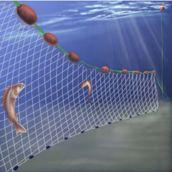 Fishing methods (worst) Bottom gillnet 350 long anchored net Sardines, goosefish,
