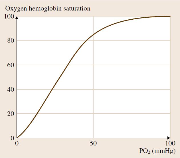 Gas Exchange Basics Position and shape of oxygen hemoglobin dissociation curve are dependent on various factors in blood, such as: ph