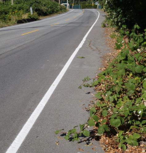 Anecdotal observations of bicycle usage in Chilliwack are generally more valuable than
