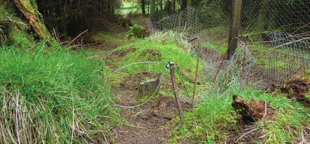 Ayrshire, 2016 Snare set by pheasant pen 7. Snares in the UK - Current legislation and voluntary codes The four UK administrations have separate legislation and codes of practice covering snaring.