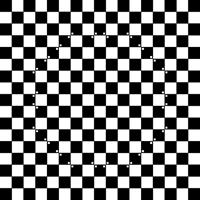 Which is larger - the white squares or the black squares? Actually,all of the squares are the exact same size!