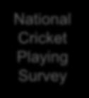 Behavioural data trumps survey data (future proof) Demonstrate cricket understands its market Create 2014 insights and near-time business