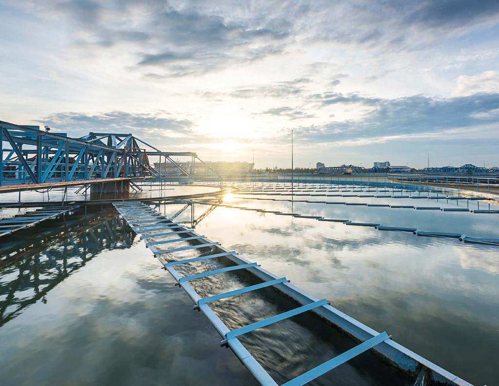 THE FUTURE OF WATER IS WIRELESS Delivering IoT