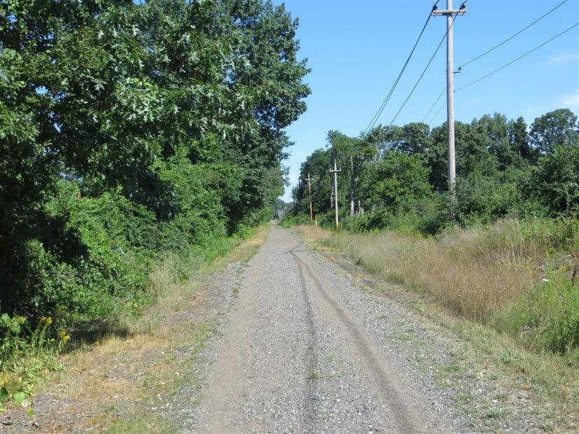 wide paved surface Equestrian trail 5 foot