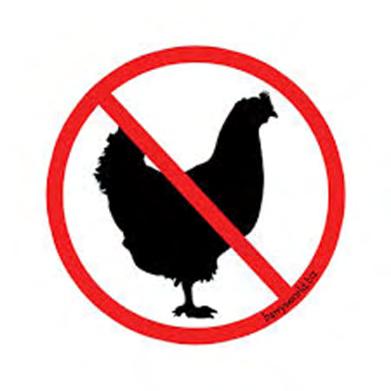 We all love fresh eggs, however chickens are NOT allowed to be kept on one s property here in 49ers. Poultry is specifically disallowed in our CC&Rs, as written in Article 14.