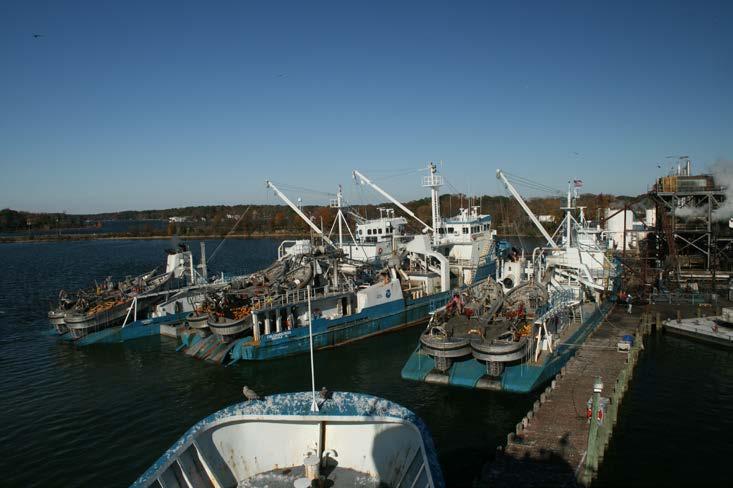 Update on the 2017 Atlantic Menhaden Fishing Season Sustainable Fisheries Branch