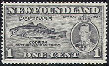 Cod fisheries: rich in history During the early to mid 1900 s, the cod fishery