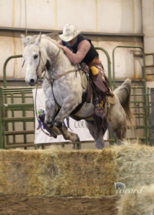 24 Horse & Rider Teams Compete for $3,600 in Cash Prizes in Craig Cameron's Extreme Cowboy Race at Tennessee Horse Expo! WHAT IS THE EXTREME COWBOY RACE?