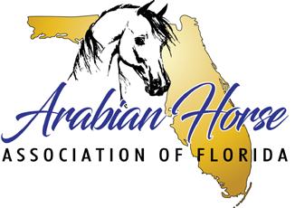 Welcome to the AHAF Holiday Festival Horse Show! November 30- December 2, 2018 being held at the beautiful Bob Thomas Equestrian Center in Tampa, FL.