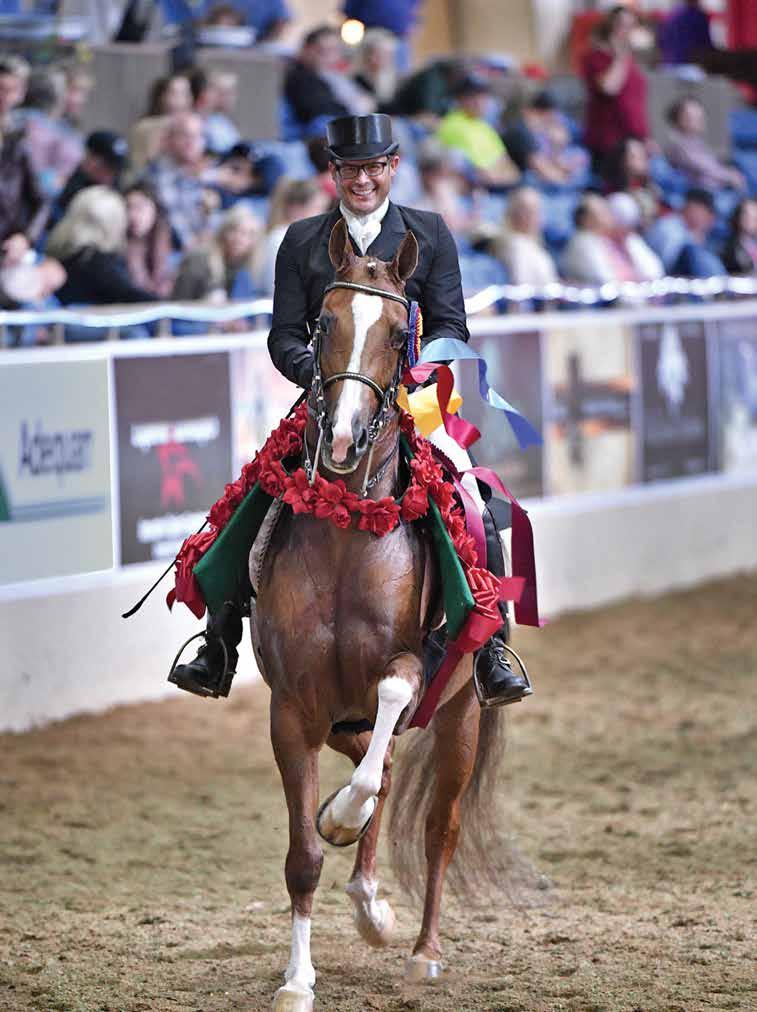 USEF Competition Name: AHAF Holiday Festival