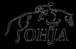 INSTRUCTIONS FOR ONLINE ENTRIES 1. Go to www.horseshowsonline.com. 2. If you do not have an account with Horseshows Online, near the top of the page click on Member Services.