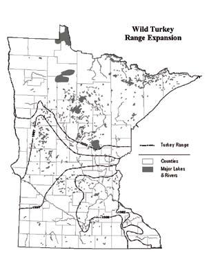 Wild Turkeys Indicators: Number of wild turkey hunting permits offered; harvest levels; range expansion DNR began efforts to transplant wild turkeys 60 to southeastern Minnesota in the late 1960s;