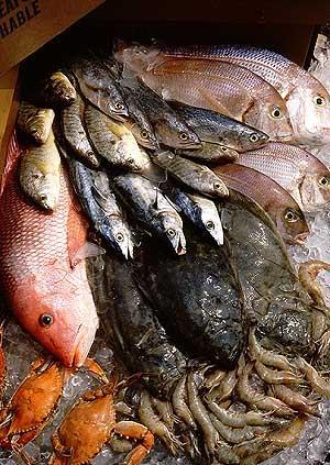 Marine Fisheries Management in North Carolina