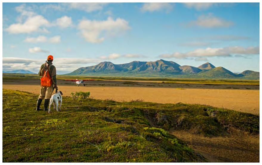 Bird hunting goes nicely with fly fishing, and Crystal Creek Lodge offers the class act of guided Alaskan upland bird hunts.