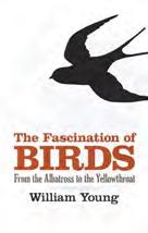 King 9780486436098 The Fascination of Birds: From the Albatross to the