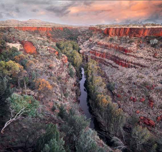 Australia has no idea even exists. It was so beautiful, he says, with a shake of his head. For me, it is most beautiful national park in country.