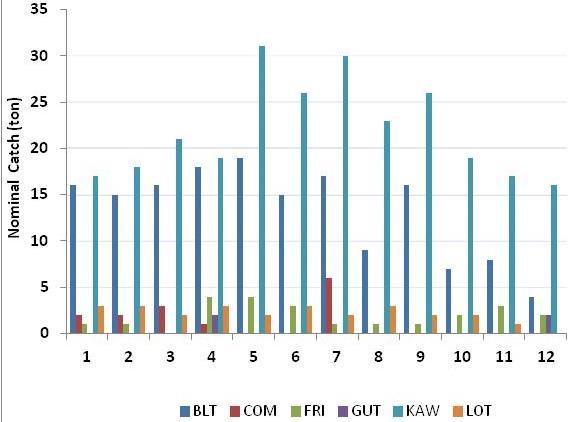 Figure 6: nominal catch of neritic tuna in Comoros from 2011 to 2013 Here below is the distribution of nominal catch of neritic tuna by fishing gear.