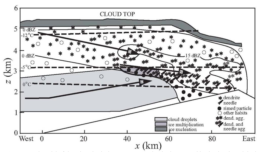 Dynamical-Microphysical Interaction Mechanism Figure: A conceptual model of the microphysical processes occurring in the orographic cloud and precipitation system.