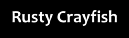 Rusty Crayfish Severely reduce aquatic vegetation,