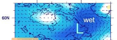 Spring sea level pressure anomalies during