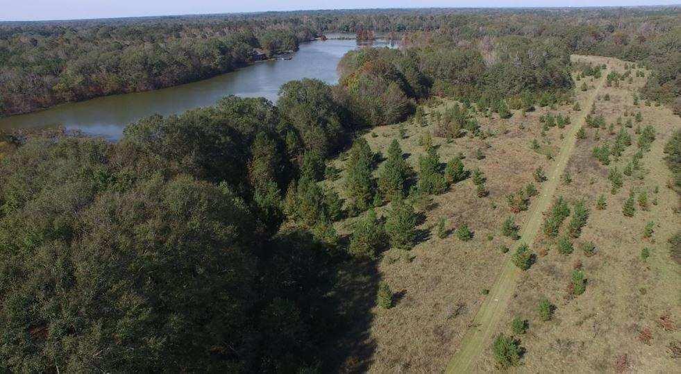 OVERVIEW: Located in Alabama's fertile Black Belt soil region, this property is excellent for hunting.