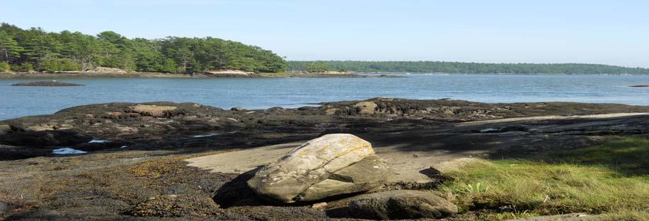 Habitat Fact Sheets Habitats in the Gulf of Maine serve many important roles for the environment and for humans as well.