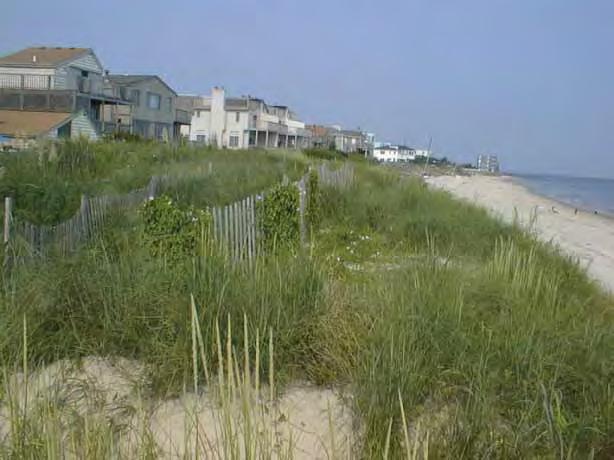 Elevation (ft) CITY OF VIRGINIA BEACH DUNE SITE 11 20 15 10 5 0 Primary Dune Crest MLW -5-100 0 100 200 300 Distance Offshore (ft) VB 11 16 Aug 2000 16 AUG 2000 16 AUG 2000 Site Information 1.