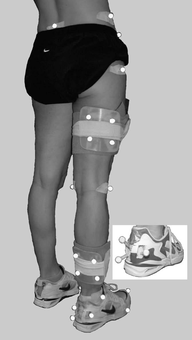R.A. Zifchock, I. Davis / Clinical Biomechanics 23 (2008) 1287 1293 1289 rearfoot position, and standing calcaneal angles were obtained.