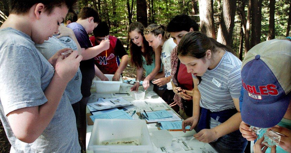 Share 8/8/2016 Messalonskee Middle School students have hands-on science fun - Central Maine Comment OAKLAND Middle school students walked through the nature trail next to Messalonskee Stream on