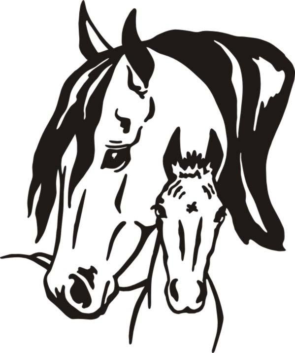 GREEN MOUNTAIN APPALOOSA HORSE CLUB Spring 2018 Newsletter Upcoming events: June 3, 2018 Open Gymkhana, Carter s Arena, Brandon Inside this