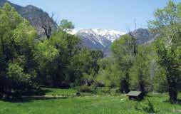 The South Fork of the Shoshone River runs along the property for approximately one mile and two small creeks to complement the