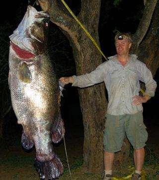 1. The Nile Perch The Nile Perch is native to a number of freshwater African lake and river systems.