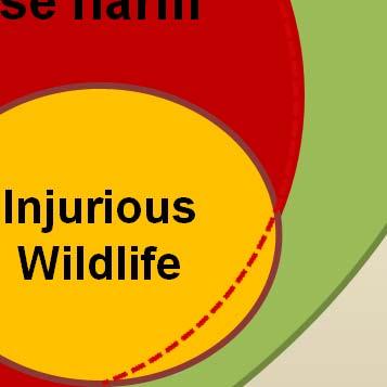 Injurious Wildlife Wildlife found through regulation or Congressional action to be injurious to the interests of human beings, agriculture, horticulture,