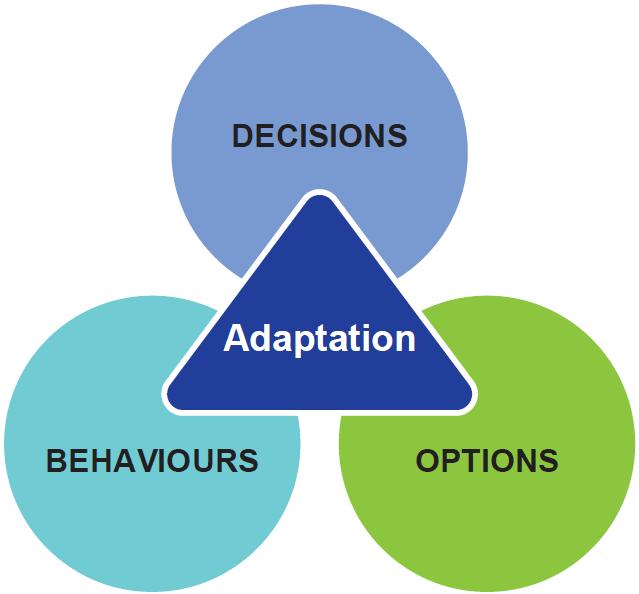 Adaptation science: 3 perspectives, all needed Adaptation information and decision-making Evaluation, adaptation pathways, future scenarios, risk management modes, etc Adaptive behaviours and