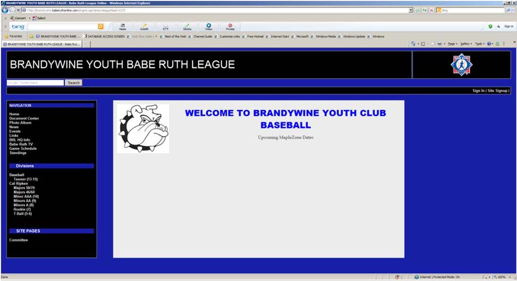 Other Important Highlights Website and Sources of Information Baseball website! http://brandywine.baberuthonline.com/engine.asp?