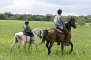 activities such as polocrosse, western games,