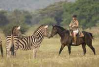 The African Explorer Safari is amazing value: