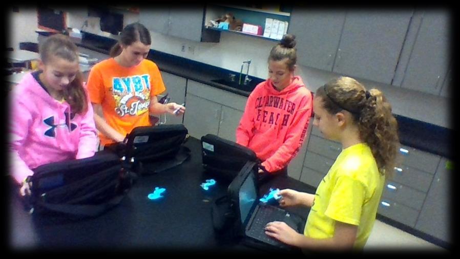 Middle School Science with Mrs. Sutherlin 8th Graders Explorer Animal Adaptations Mrs.