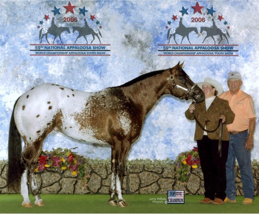 Goodbar x Dan Dee Doolin (Hall of Fame mare & mother of Colored By Charlie) Very talented and proving to be a great producer Breeders Trust Enrolled 32 The Secret Is