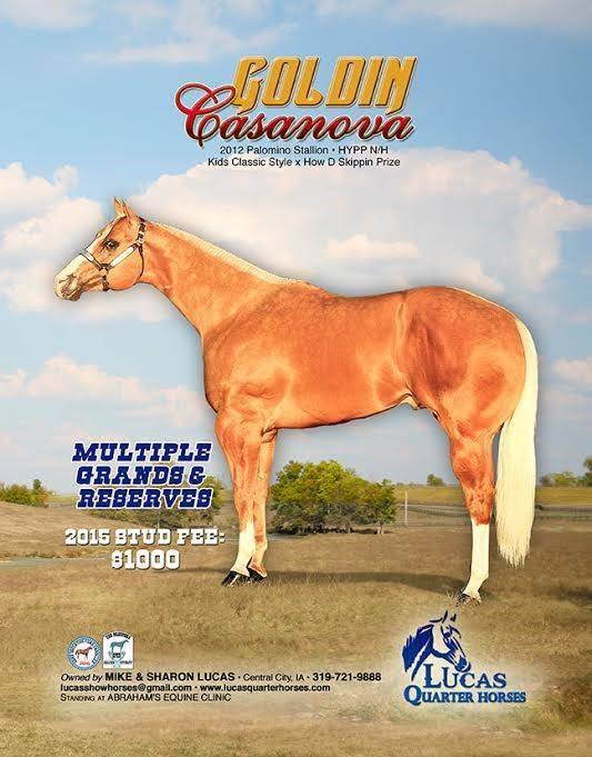 MN Top Ten 2014 Worlds Most Colorful at Halter & Yearling Colts ROM s in: Non Pro & Open Most Colorful at Halter & Open 2 YO Stallions Advertised Fee: