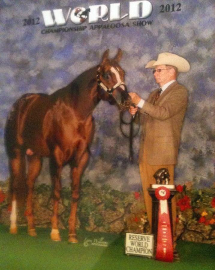 7 Hez A Pretty Package Advertised Fee: $850 2011 ApHC Chestnut Sire: The Package (AQHA) Dam: Oh Gal So Prety Starting Bid: $425 Standing At: Annette &